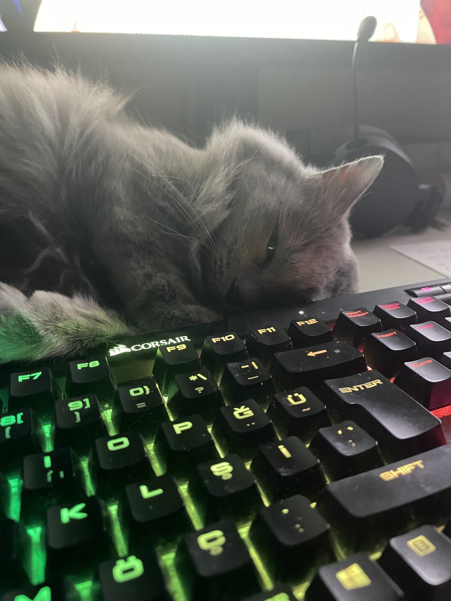 serhat peker (@sesepe) on Twitter photo Mia ile Dordogne oynuyoruz. Yine bir oyunda kedi bulmam… Çizimler o kadar hoş ki! Bu kadar geç oynadığım için ve stüdyo kapandığı için çok üzüldüm.
<a href="/UMANIMATION1/">UMANIMATION</a> <a href="/studio_jnsq/">Dordogne 🎨 OUT NOW 🖌 Un Je Ne Sais Quoi</a>
store.steampowered.com/app/1272840/Do… Mia ile Dordogne oynuyoruz. Yine bir oyunda kedi bulmam… Çizimler o kadar hoş ki! Bu kadar geç oynadığım için ve stüdyo kapandığı için çok üzüldüm.
<a href="/UMANIMATION1/">UMANIMATION</a> <a href="/studio_jnsq/">Dordogne 🎨 OUT NOW 🖌 Un Je Ne Sais Quoi</a>
store.steampowered.com/app/1272840/Do…