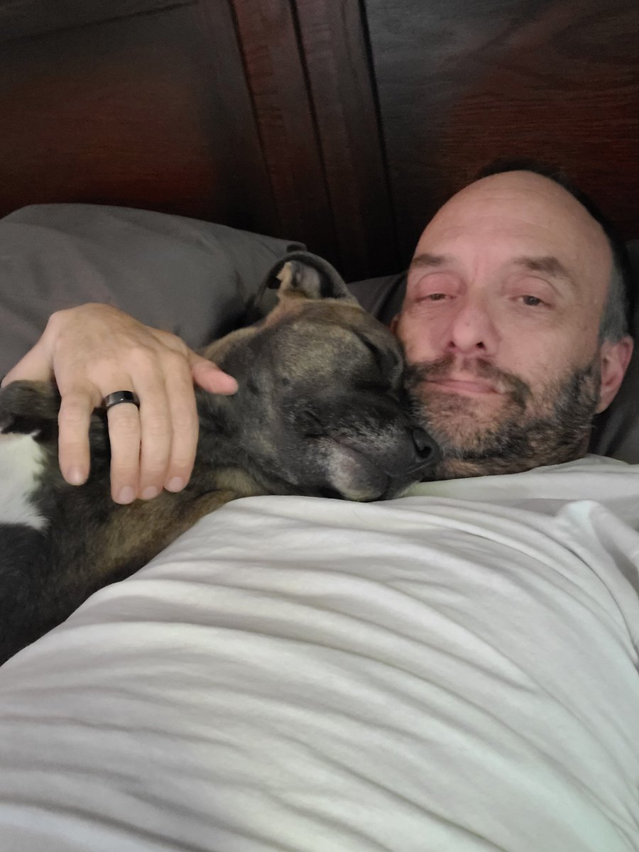 RebasLaw's tweet photo. YESTERDAY WAS A GREAT DAY IN NEVADA!!! #AB381 #RebasLaw has bipartisan support from both Assembly and the Senate and has been formally introduced!! Not only does it have support on both sides of the isle, it has support in both the #NVAssembly and #NVSenate. Last night, I crawled into bed and snuggled with my princess. I had tears streaming down my face, knowing that she, and all other animals will soon have better protection. She looked up at me and gave me the sweetest kiss as to tell me "it's going to be ok daddy."

I have been working the phones and letter campaign for the better part of the last 6 months and spent a lot of money doing so! But... it's starting to pay off! I think this is the year that we finally get stiffer penalties for those that harm our fur babies!

Part of the proposed law will be "... to include every act, omission or neglect whereby unjustifiable physical pain, suffering or death is caused, allowed or permitted" will become a FELONY!!! Harming a police animal would become a Class B Felony! We're fighting for you to @LVMPD #K9Enzo!

Agriculture animals would now be protected as well.

Download and read the bill at: https://t.co/LtYzUgfKuL

PLEASE make sure you reach out and thank the following sponsors and co-sponspors for helping our babies!

Melissa Hardy (Bill author)
@Hardy4NV
Assembly District 22
(775) 684-8823
Melissa.Hardy@asm.state.nv.us

Brian Hibbetts (R)
@BrianHibbetts
Assembly District 13
(775) 684-8853
Brian.Hibbetts@asm.state.nv.us

Melanie Scheible (D)
@MelanieScheible
Senate District 09
(775) 684-1421
Melanie.Scheible@sen.state.nv.us

Cecelia Gonzalez (D) Co-Sponsor
@CeceliaGNV
Assembly District 16
(775) 684-8595
Cecelia.Gonzalez@asm.state.nv.us

Duy Bguyen (D) Co-Sponsor
@Duyfornv
Assembly District 08
(775) 684-8537
Duy.Nguyen@asm.state.nv.us

Thank you @KimPassoth for the amazing coverage! Let's protect our babies!!