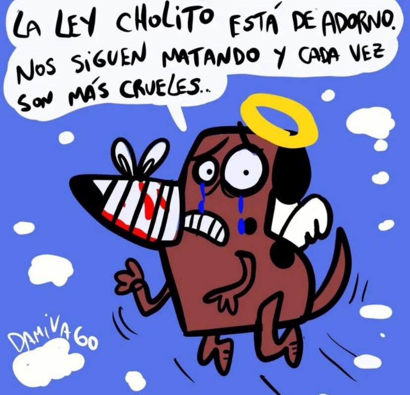 manecita06's tweet photo. Políticos,autoridades cuando lo entenderán !!!!??? La ley Cholito no sirve para nada! 😒😒😒RT por el contrario ,estamos peor! https://t.co/ARTrBPDzNZ