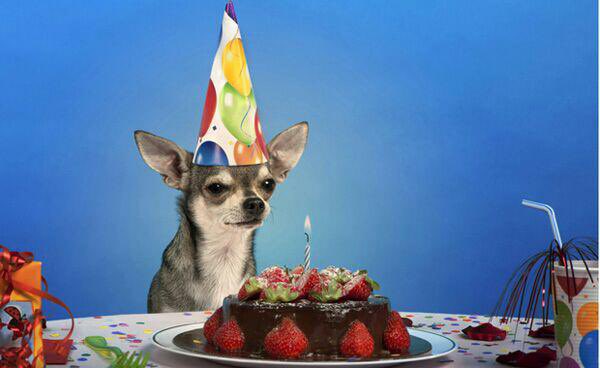Hoy hemos cumplido 14 años 🎈 

¡Gracias por tantos momentos vividos!