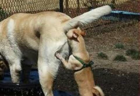 Aaron Salz tweet media