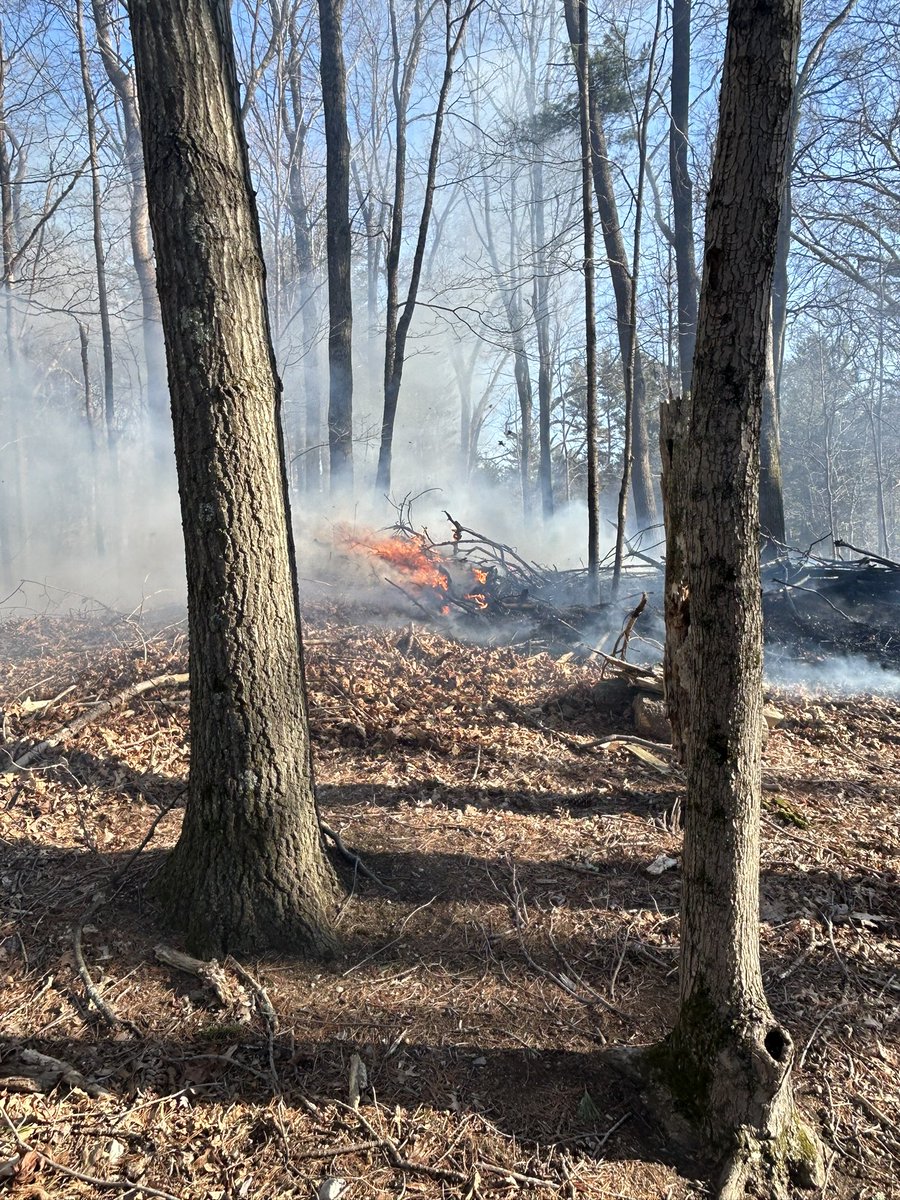 Wayland Fire tweet media