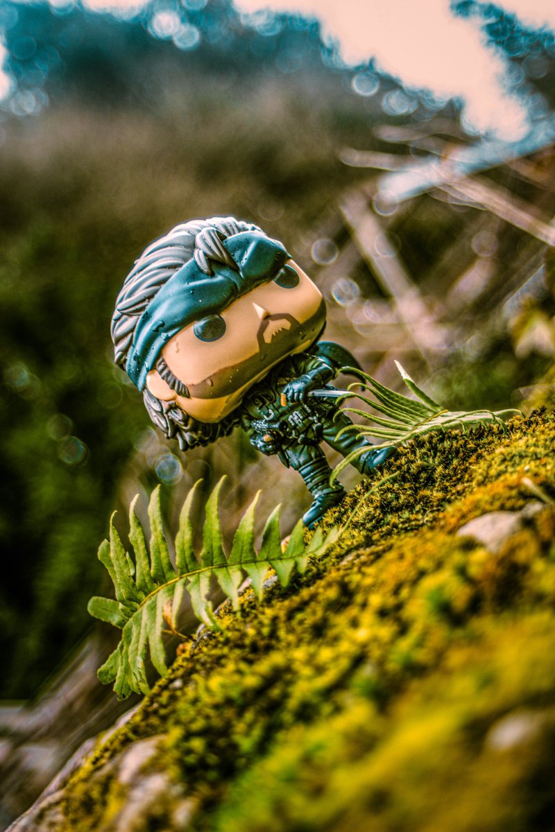 Theghostoflamln's tweet photo. 🐍🌿 You’re Pretty Good 🌿🐍 #metalgearsolid #MGS #kojima #hideokojima #bigboss #metalgearsolid3 #toyphotography #funko https://t.co/FmQ9w1Nx8j