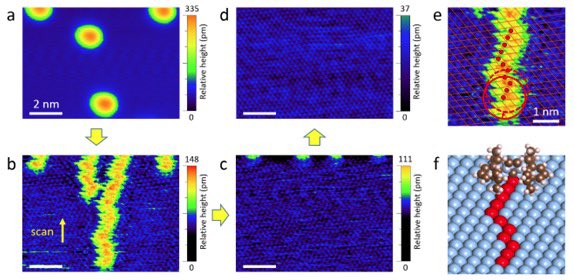 Our work “Optical Spectroscopic Probing and Atomic Visualization of the Motion of N-Heterocyclic Carbenes on Ag(111)” was published by ACS Nano. Here, we combined tip-enhanced Raman spectroscopy (TERS) and scanning tunneling microscopy (STM) to study the mobility of NHC.<a href="/acsnano/">ACS Nano</a>