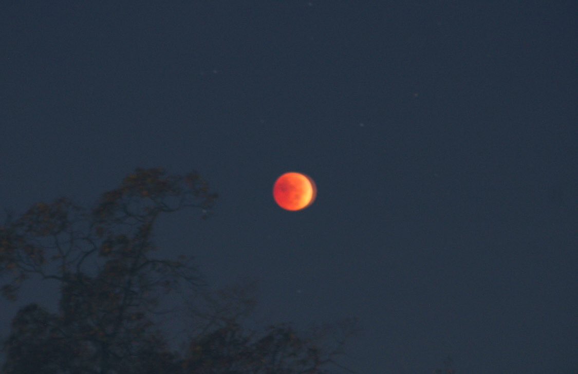 Space Weather Watch tweet media