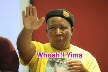 Sabelo Ndlovu tweet media