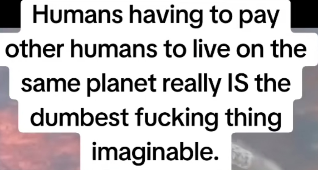 Invisidon (@quantumalteredx) on Twitter photo 