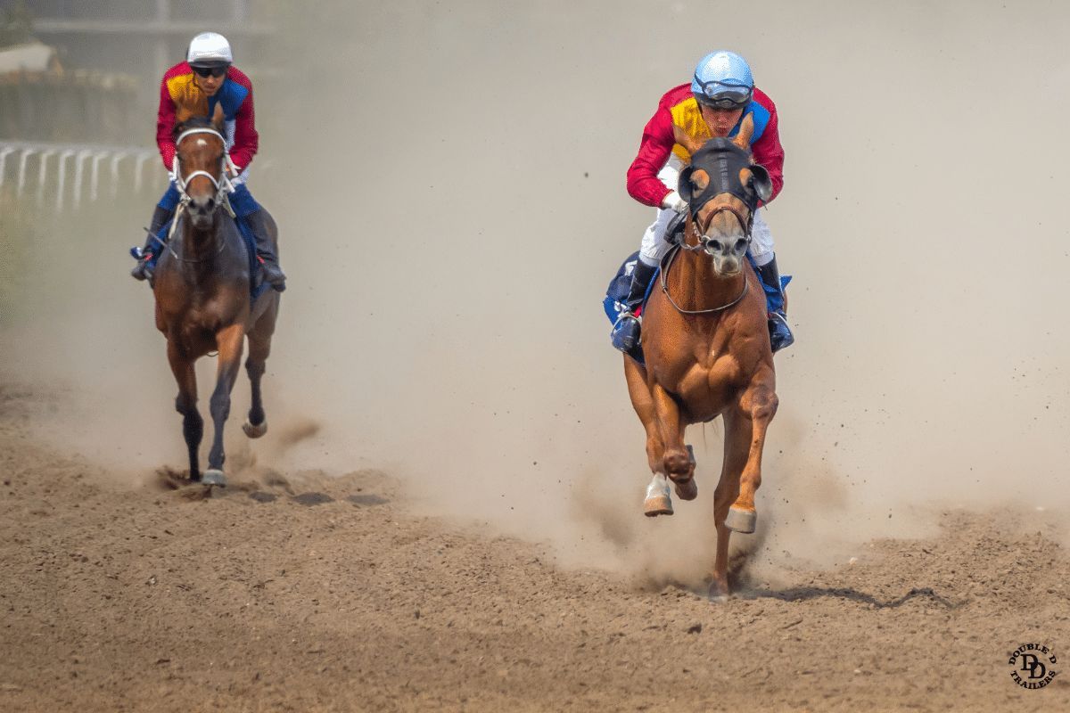 Have you ever thought about sharing the thrill of horse racing with others who love horses as much as you do? Joining a racehorse syndicate connects you with a passionate community, sharing both the joys and costs of horse ownership. doubledtrailers.com/racehorses-cos…