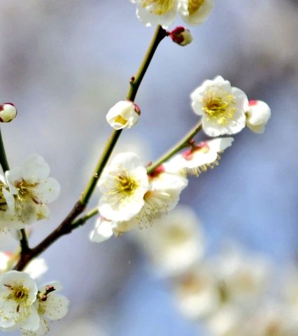おはようございます·̩͙꒰ঌ( *´꒳`*)໒꒱·̩͙ஐ⋆*🌷🌱🌸🌿🌼☘️🌈😘😘😘❤❤❤❤✨✨✨🌈💓🍬🍬〜♪。.:＊・゜♪。.:＊・゜💗💕💖💞💝💘💓🥰💕💕✨🌹•*¨*•...🌺..｡.:(ღ*ˇ ˇ*)｡o♡ᔆᵘᵗᵉᵏⁱ♡𓂃 𓈒𓏸◌🍀(*˘︶˘*).｡.:*♡💕💗💕( ͜🍒･ω･) ͜🩷
