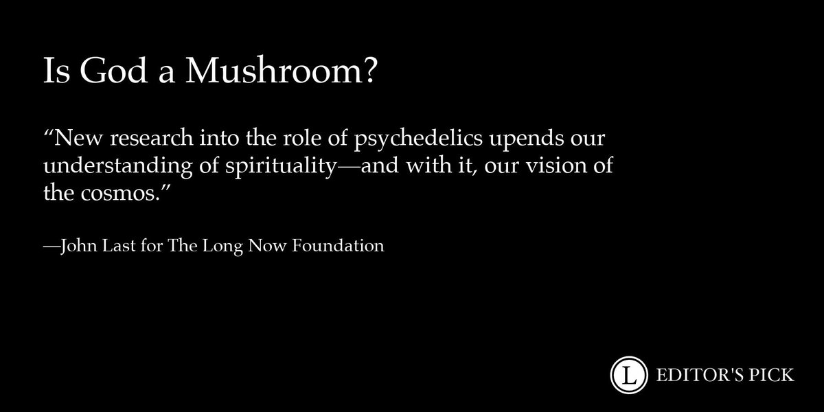 "If it could be proven that the church was built on the foundation of holy fungi, not only would figures like Allegro be vindicated — psychedelics, too, could no longer be considered so taboo."

John Last for <a href="/longnow/">Long Now Foundation</a>: longreads.com/2025/03/11/is-…