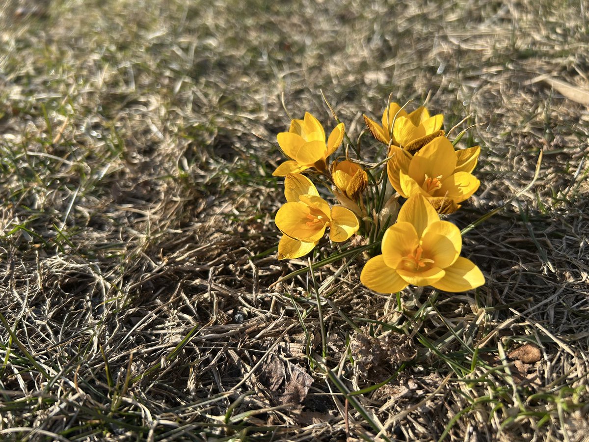 Melissa Constanzer tweet media