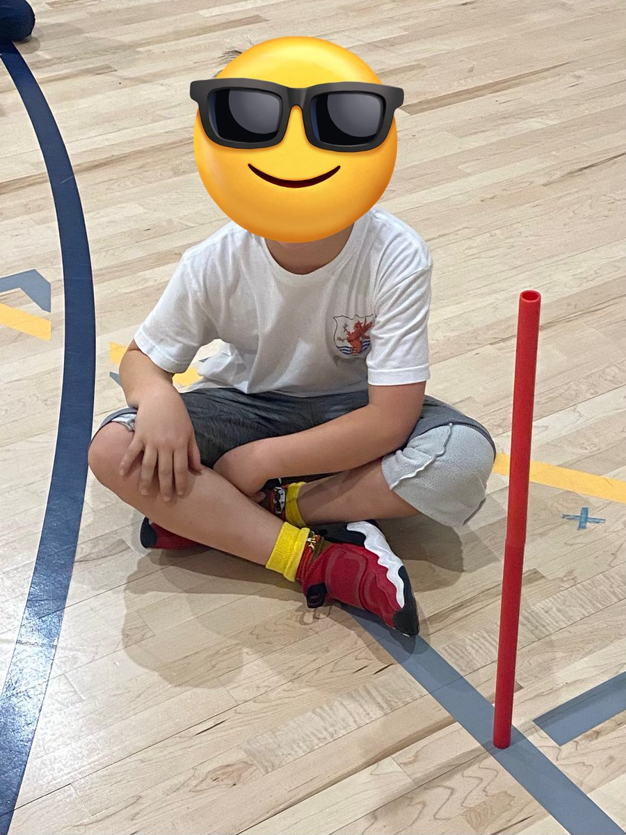 TillerWestWay's tweet photo. As a cool down activity students tried to stack one Lummi Stick on top of the other. These young padawans did it. Thx to @physedreview for the idea! #physed https://t.co/cPlpBuHgUO