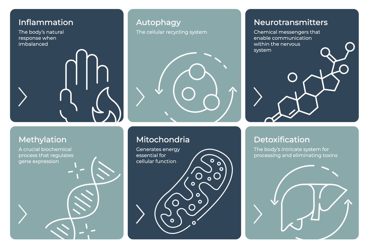 Josh Schultz tweet media
