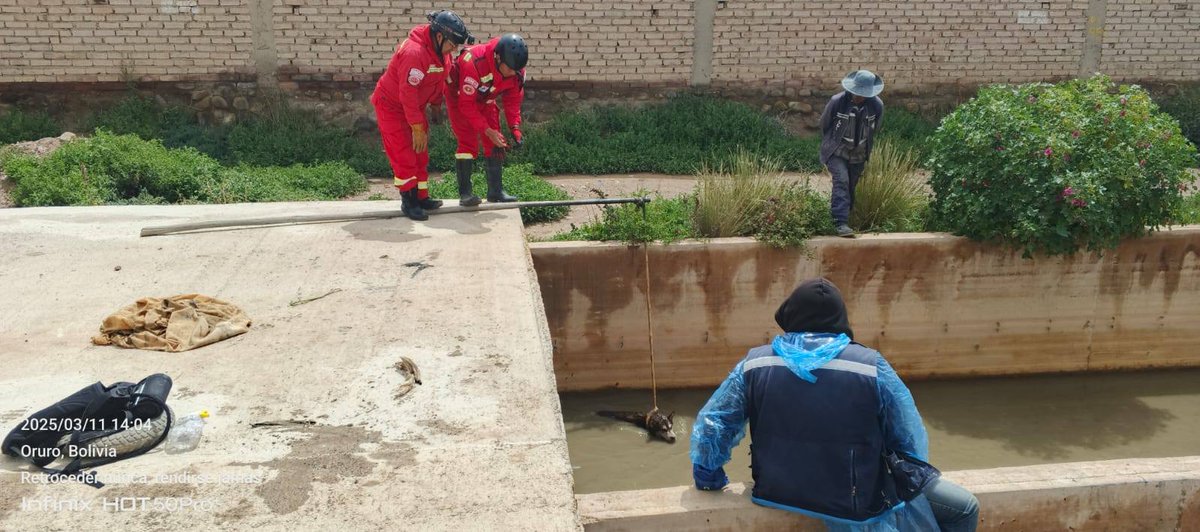 #Oruro | #GestiónOperativa
🇧🇴 #2025_BicentenarioDeBolivia
𝗥𝗘𝗦𝗖𝗔𝗧𝗔𝗠𝗢𝗦 𝗔 𝗨𝗡 𝗣𝗘𝗟𝗨𝗗𝗜𝗧𝗢 𝗔𝗧𝗥𝗔𝗣𝗔𝗗𝗢 𝗘𝗡 𝗘𝗟 𝗜𝗡𝗧𝗘𝗥𝗜𝗢𝗥 𝗗𝗘𝗟 𝗥Í𝗢 𝗧𝗔𝗝𝗔𝗥𝗘𝗧𝗘