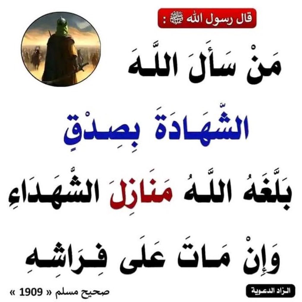 saeedalkamali11's tweet image. 