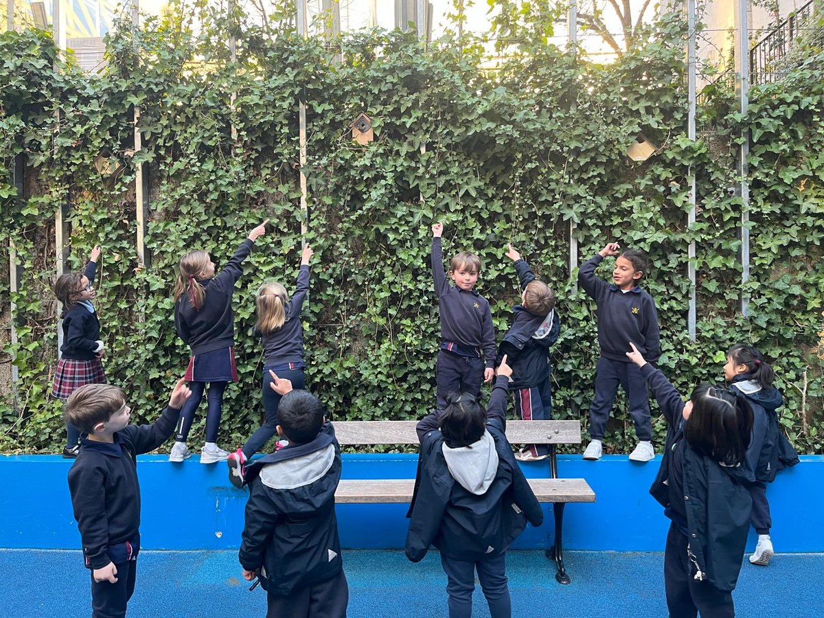 Our #PrePrep children have spotted new bird boxes installed in the ivy wall. Thanks to our #PTA, our site manager and Eco #GardeningClub Members for funding and installing our new bird boxes. We’ll keep you posted on any new feathered visitors! #twitcher #wren #nest #birds #eco