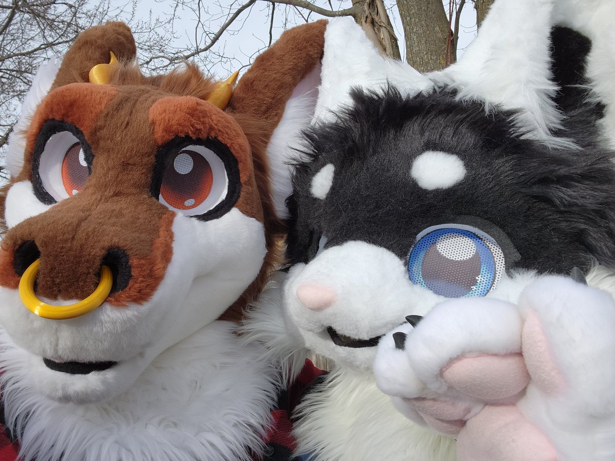 ShotFired556's tweet photo. Thanks for organizing this, it was fun!
Happy I got the chance to hangout with all these fluffy mf before FE ❤️

🐱: @VaneSfw 
🦌: @AntlerDawg https://t.co/mZ1woL0hpE