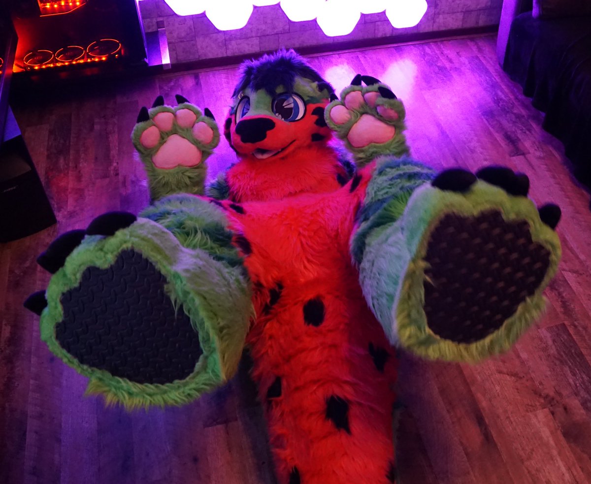Fake vs Real 🍉

#FursuitEverday #WaterMelon