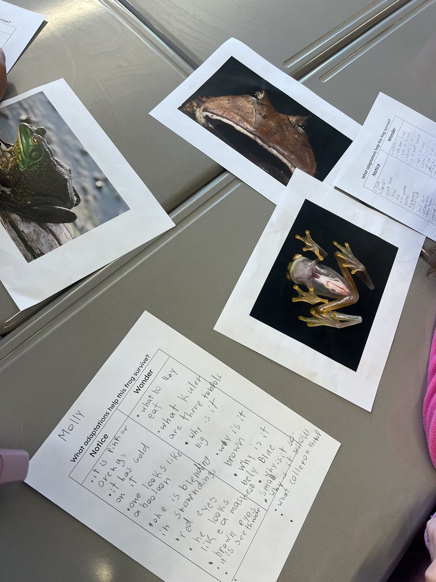 APS Literacy Coaches tweet media