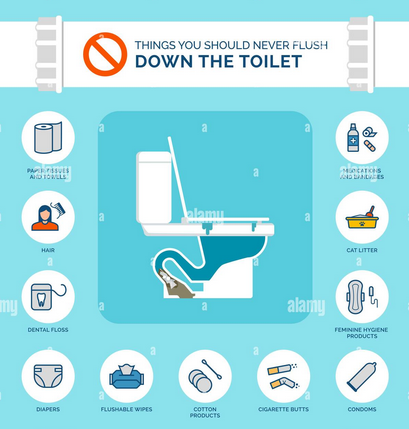 plumbing_choice's tweet photo. There are several things you should avoid flushing down a toilet to prevent clogs &amp; plumbing issues!

Visit us online at https://t.co/0IeB7Q18jH
Check out our reviews!
https://t.co/ljPyRdTwlA

#plumbing #plumber #draincleaning #backflow #pasadenamd #maryland https://t.co/Fd8bSt42xD