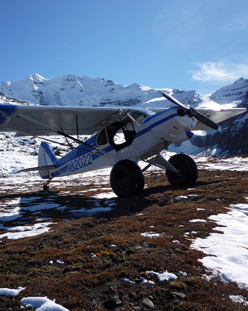 AlaskaAirmen's tweet image. 9 more days until spring....but who's counting? ⛅

Alaskans, that's who 🤣

📸 Tok Air Service

#AlaskaLife #SpringIsNear #Defrosting #Aviation #Views #SupportGAInAK