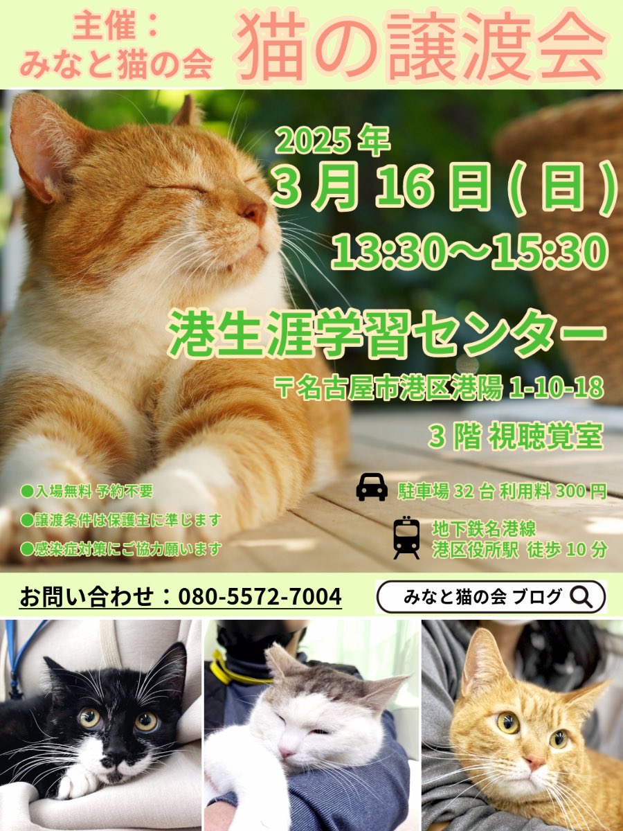 さくらネコ (@5FeN1uUVFbMQvVE) / Posts / X