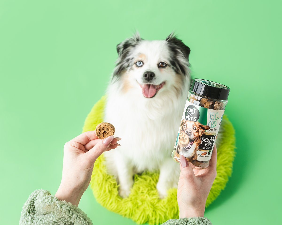 Organic, tasty, and packed with CBD goodness! Give your furry friend the relaxation they deserve with JustCBD Organic Pet Treats 🐶💚

#JustCBD #Pets
