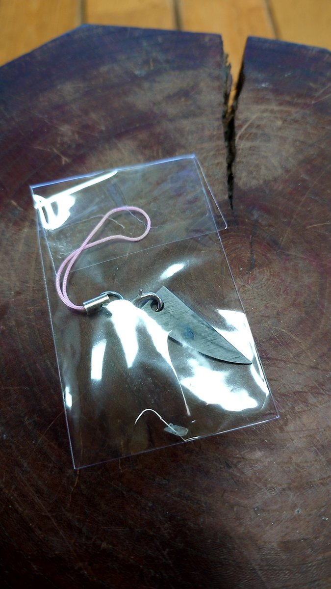 失敗した作品の鋒をキーホルダーにしました🎵
春が目の前まで来ているのでやります🌸
欲しいって思う方は『リポストorいいね』して下さい。
偽アンドゥーが出る可能性もあるので、ご注意くださいm(_ _)m

締切令和7年3月12日（水）23時59分迄。
後日、当選者にDM致します。