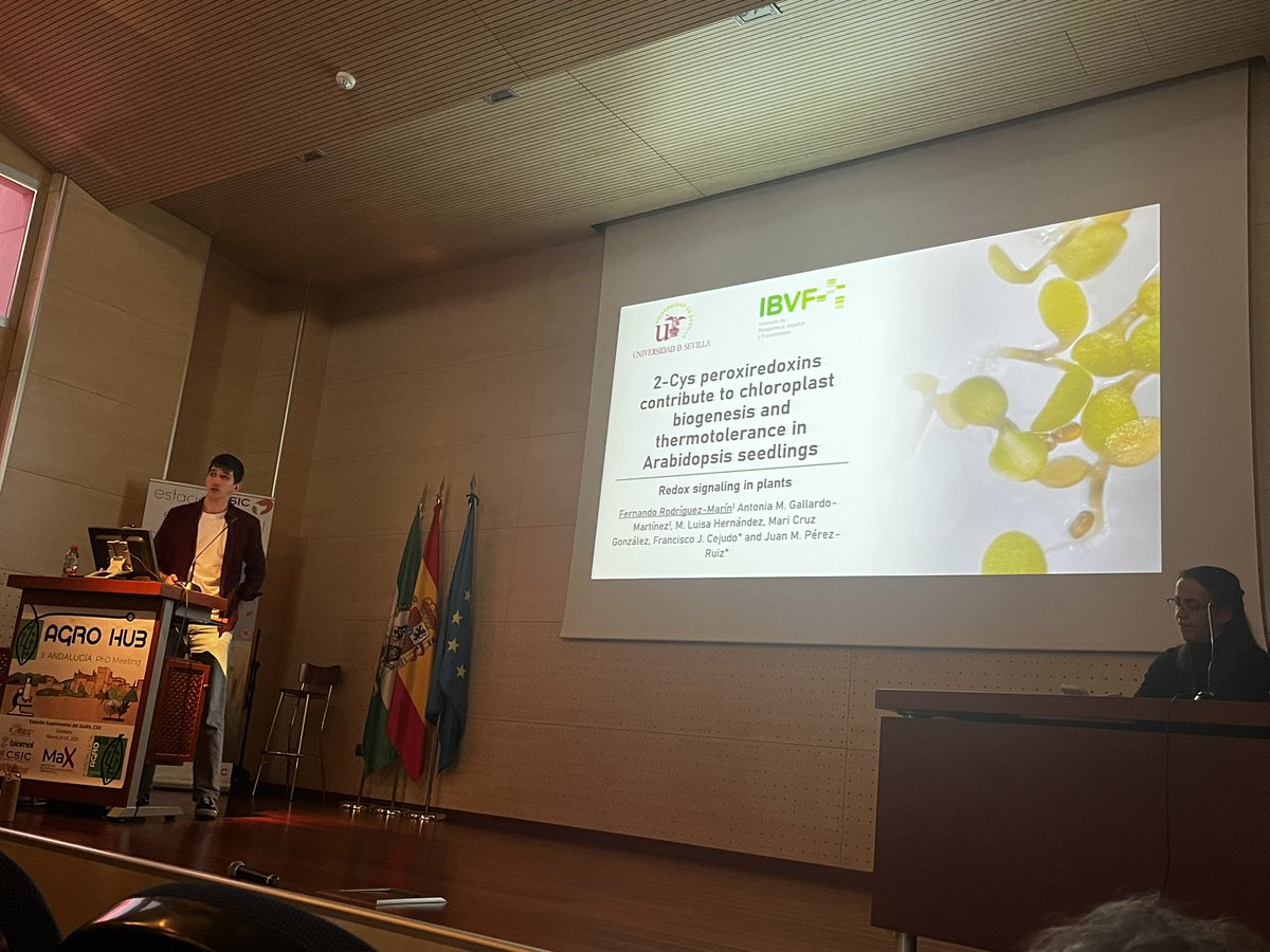 Redox Signaling in Plants Lab (@redoxsigplants) on Twitter photo Great talk of our PhD student <a href="/Fernandorod8/">Fernando Rodríguez</a> in the II Agro Hub PhD students meeting held at <a href="/EEZCSIC/">Estación Experimental del Zaidín (CSIC)</a>!!! 🌱☀️🧬👏🏻👏🏻👏🏻 Great talk of our PhD student <a href="/Fernandorod8/">Fernando Rodríguez</a> in the II Agro Hub PhD students meeting held at <a href="/EEZCSIC/">Estación Experimental del Zaidín (CSIC)</a>!!! 🌱☀️🧬👏🏻👏🏻👏🏻