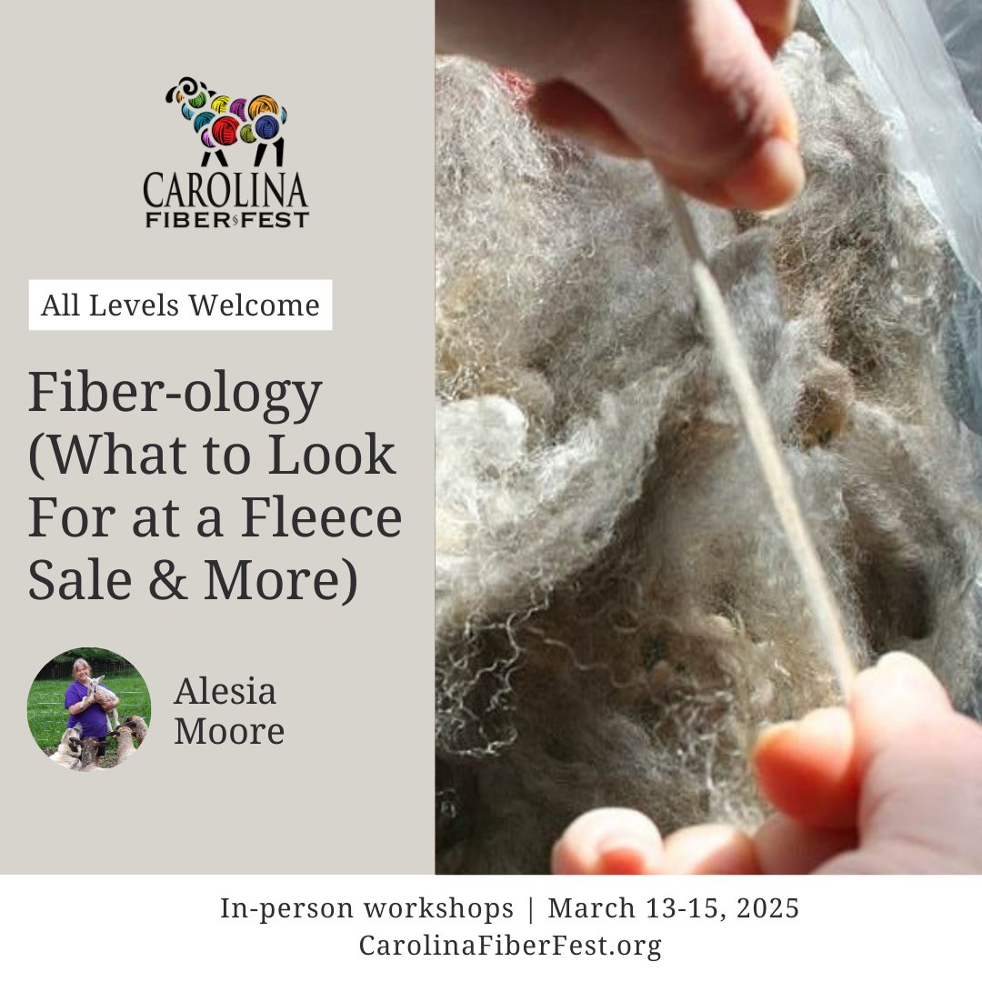 CarolinaFbrFest's tweet photo. Want to learn more about fiber... wool, alpaca, llama, mohair and more?
How to pick out a good fleece?
How to wash and prepare it?
Which fibers are better suited for different projects?
Want to take an early look at the fleece sale?

Join us in this fun workshop!

#CFF https://t.co/IMIUD6lToy