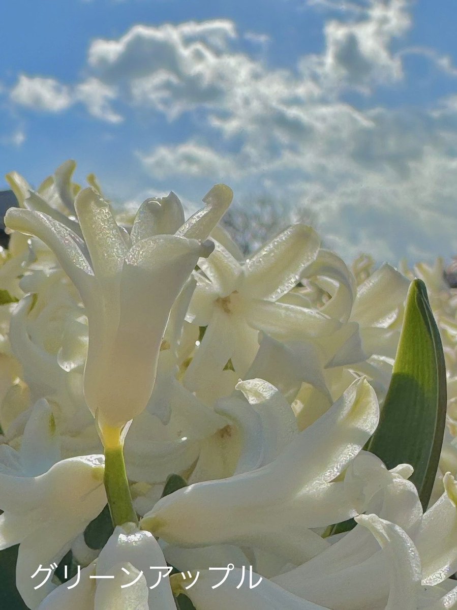 綠意家園 讓每一份愛成為幸福的開始.tiq