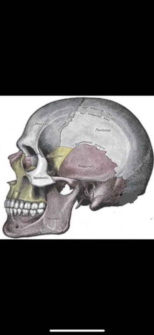معاذ عيد - جنائيات tweet media