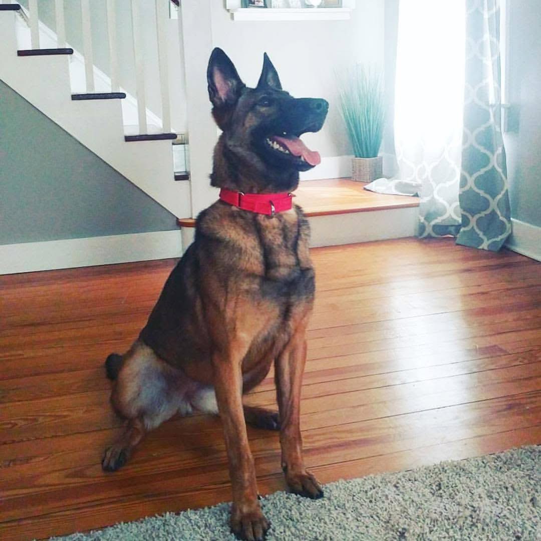 Herybusa Gaming tweet media