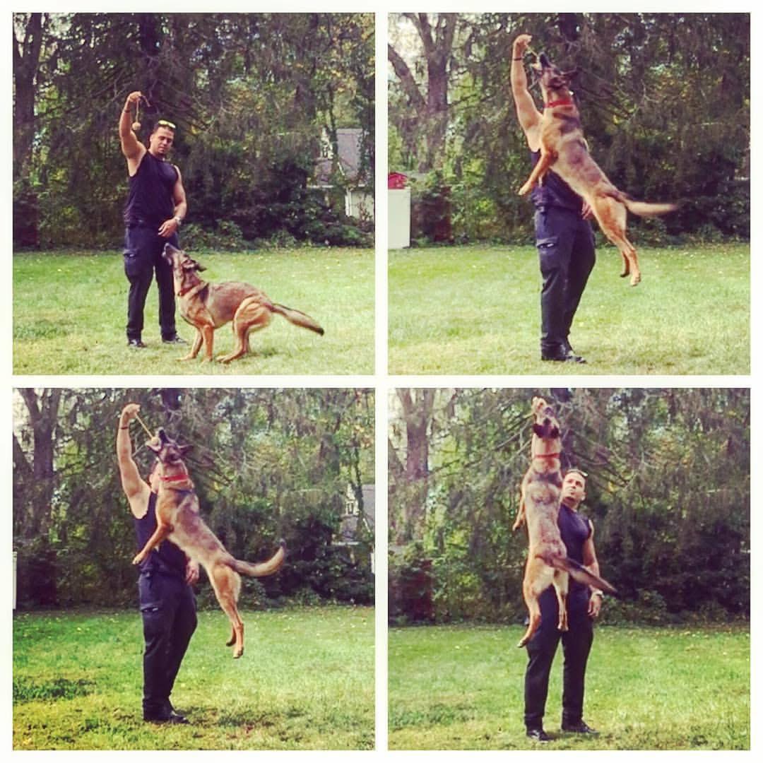 Herybusa Gaming tweet media