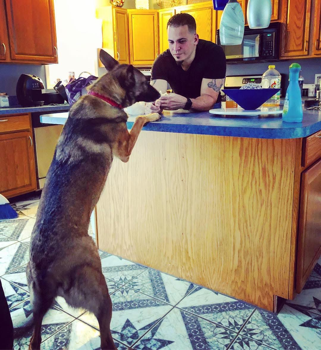 Herybusa Gaming tweet media