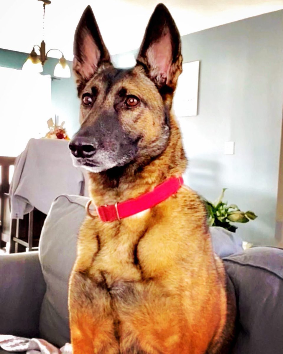 Herybusa Gaming tweet media