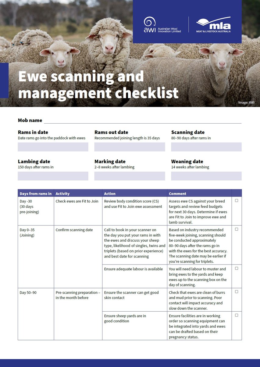 🐑Pregnancy scanning soon?
Check out the <a href="/meatlivestock/">Meat & Livestock Australia</a> and <a href="/woolinnovation/">Australian Wool Innovation</a> ewe scanning and management checklist for handy tips, reminders and space to record key info
bit.ly/3DpoQGu