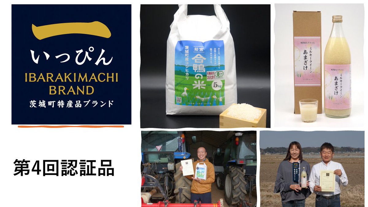 ミルキーウェイさまご確認用 Milky Back-CMS