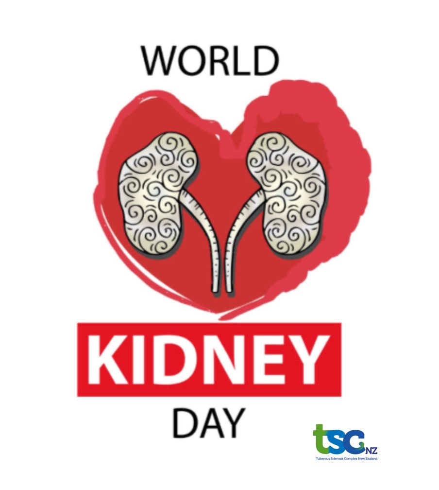 TSC_NZ's tweet photo. Up to 80% of people with TSC will have tumours in their kidneys called AML's (angiomyolipomas). While in many cases these cause no major issues, regular ultrasounds are recommended More at https://t.co/le4YQjrb4P #TuberousSclerosisComplex #WorldKidneyDay #raredisorders_nz https://t.co/3DnAsdZH8d