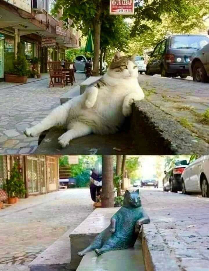 tradingMaxiSL's tweet image. 13. A statue in Istanbul to honor Tombili, a famous stray cat. He used to sit in this position and watch passers-by.