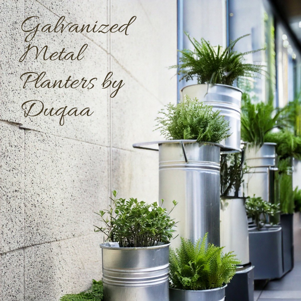 "🌿✨ Upgrade your garden with Galvanized Metal Planters by Duqaa! Rust-resistant &amp; durable, perfect for both indoor and outdoor spaces. Explore our range today!
#Duqaa #MetalPlanters #GalvanizedPlanters #GardenDecor"
