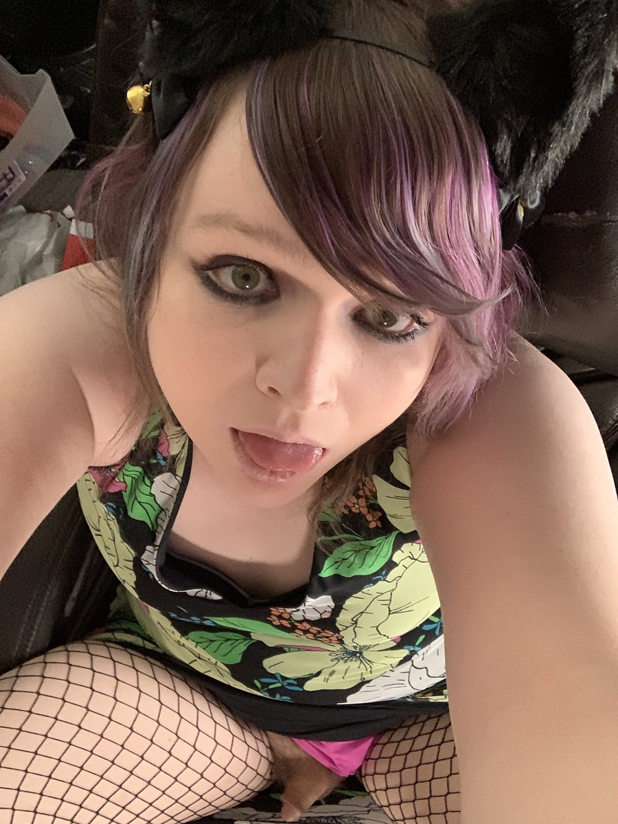 Content from ts_scarlett