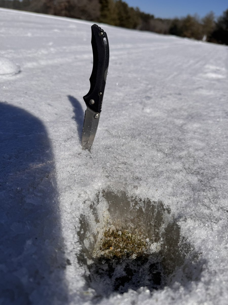 What a difference a week makes! Tree removals complete for the 24/25’ season. Stump grinding and cleanup to start next week. Tree debris and first course cleanup areas taking place this week.