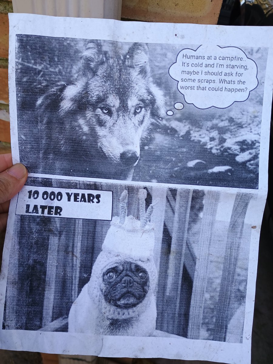 Picked up this piece of paper I found on ground in front of garbage can outside my house

 - that's funny !