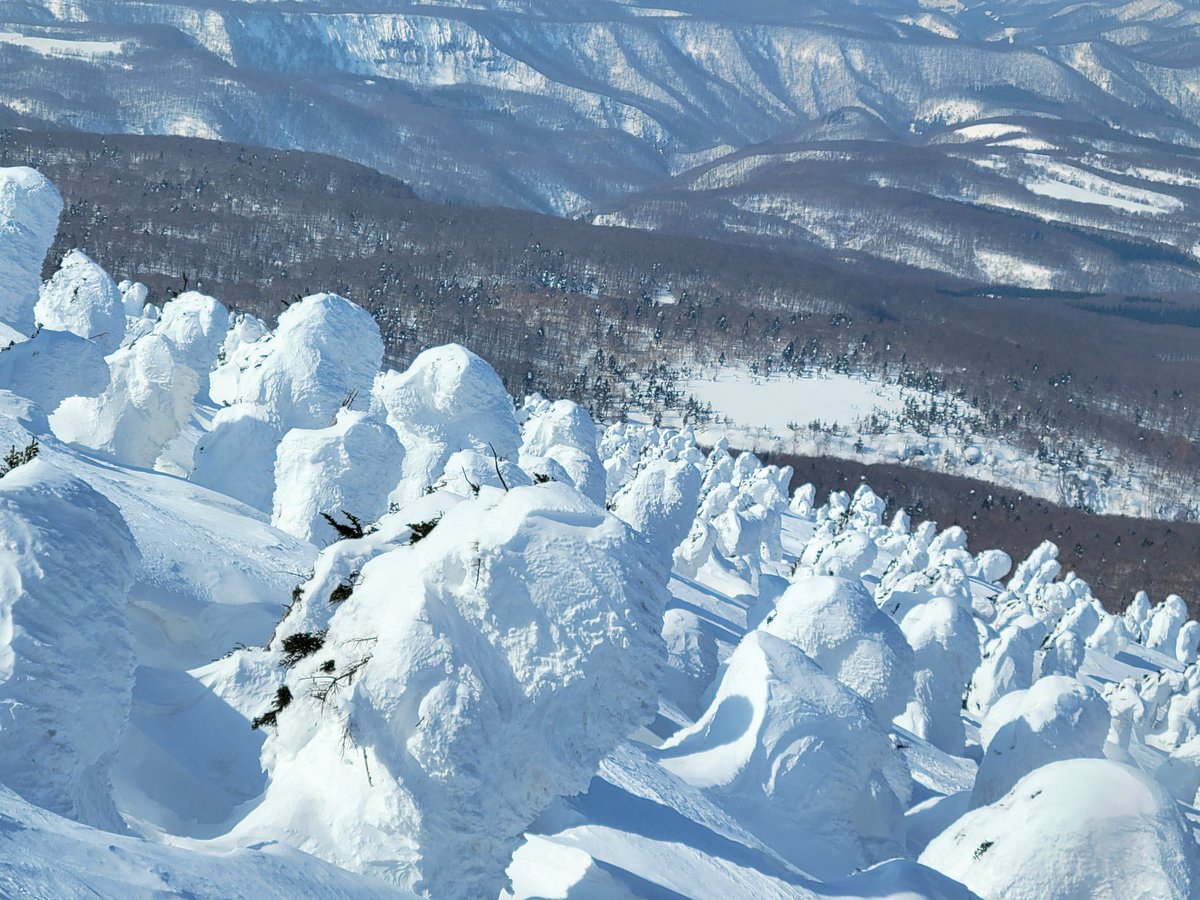 「蔵王に続き本旅2発目の日本三大樹氷、八甲田の樹氷を見にきました。同じ日本、まして」|オカモトのイラスト