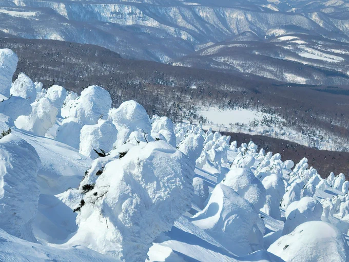 蔵王に続き本旅2発目の日本三大樹氷、八甲田の樹氷を見にきました。同じ日本、ましてや同じ本州だということが信じられない景色です。まだまだ大阪の中の蛙だなと痛感させられました。 