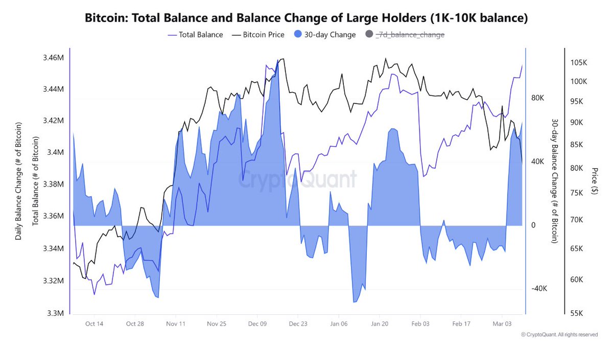 🟡"Le 'Whales' accumulano 65.000 BTC: segno di un crescente interesse nel mercato crypto"