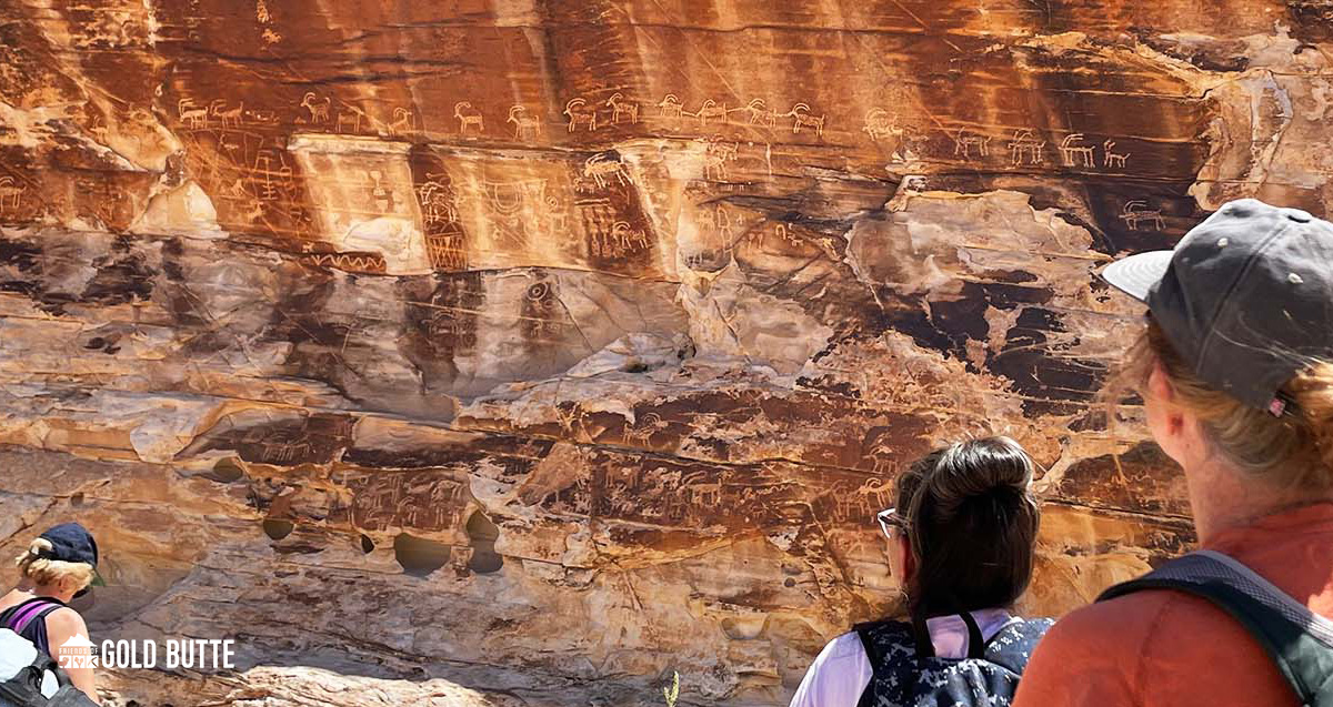 Wow, we are honored by our amazing membership! - mailchi.mp/friendsofgoldb…