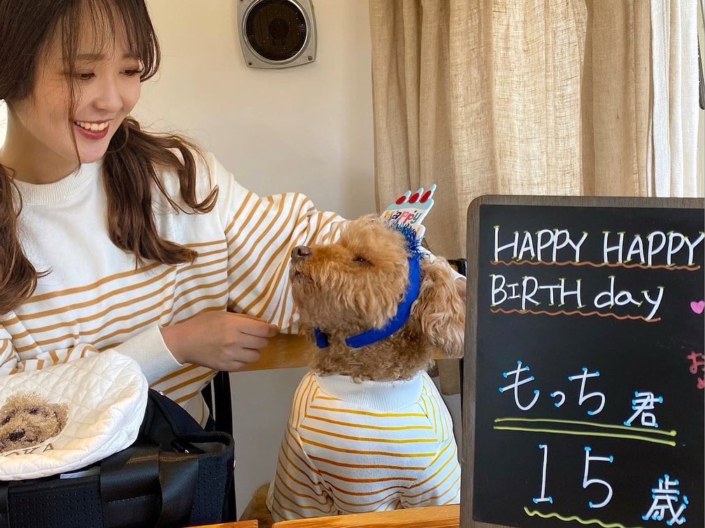 もっち。 (@mocchi__0312) / Posts / X