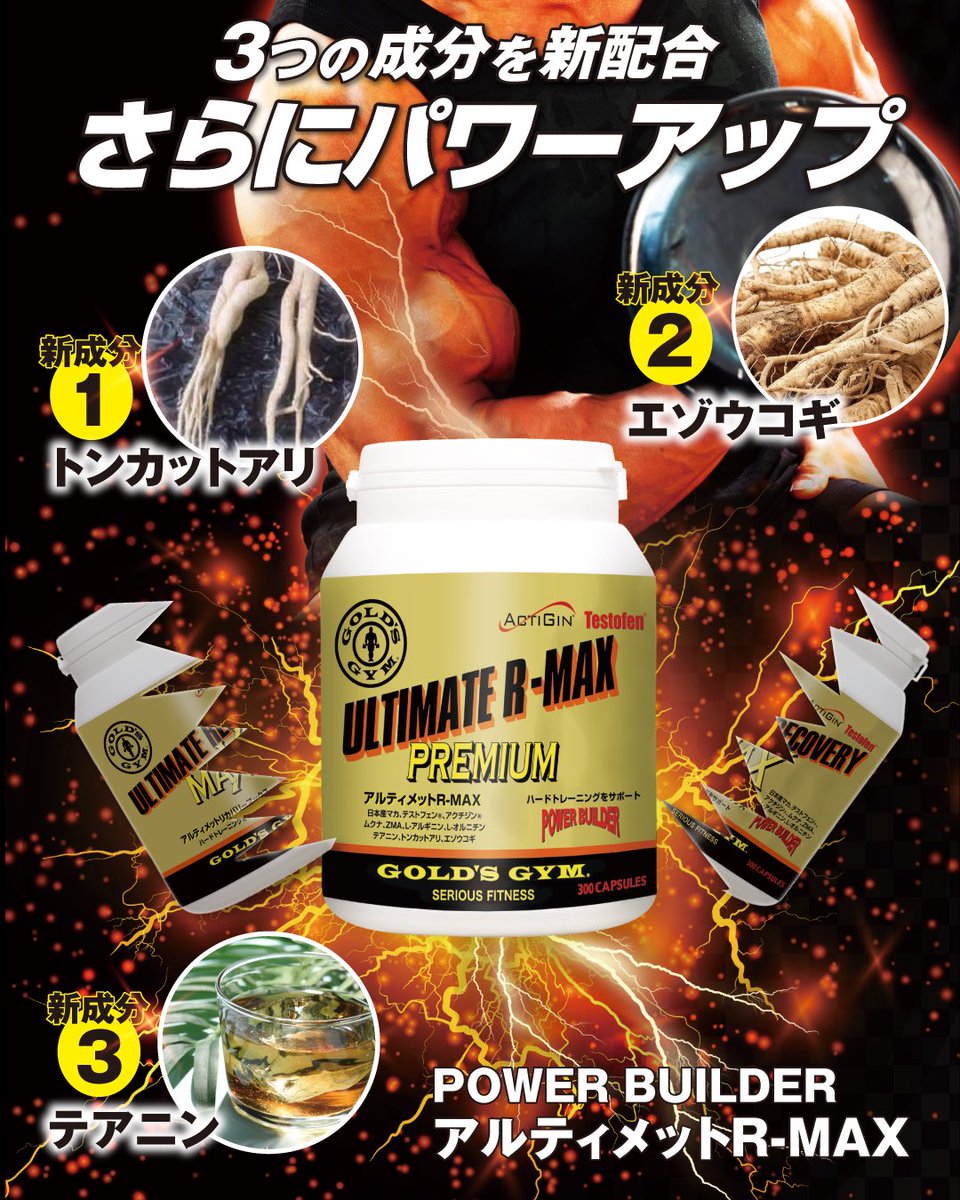 Amazon | ゴールドジム(GOLD'S GYM) アルティメットリカバリー